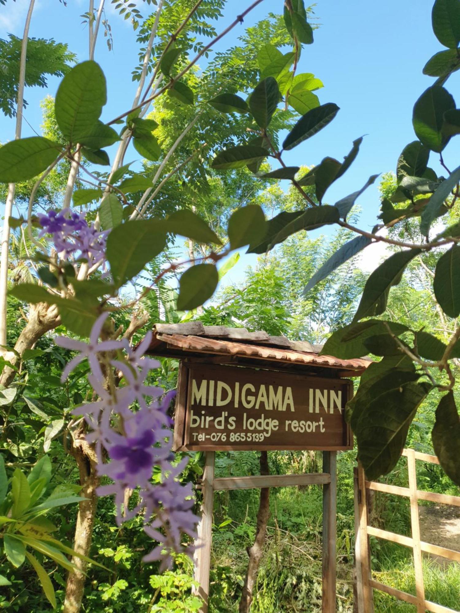 אהנגאמה Midigama Inn מראה חיצוני תמונה
